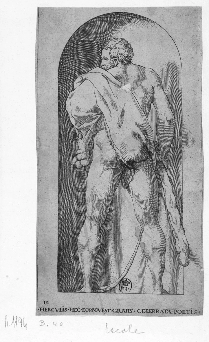 Fiorentino - Ercole, Galleria Sabauda, Torino